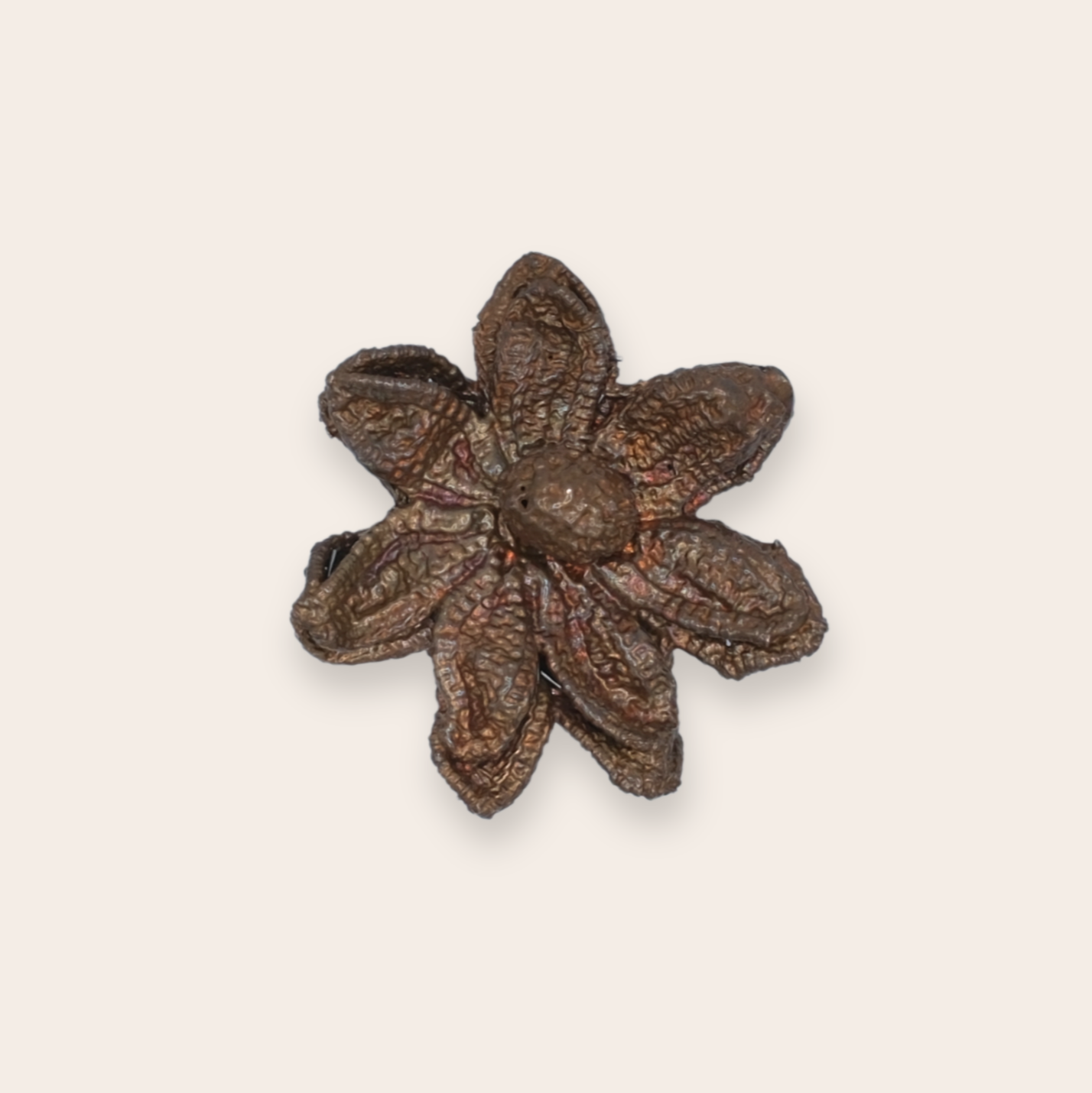 poinsettia 