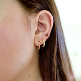 14K Yellow Gold Canvas Huggies