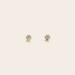 14K Yellow Gold with Champagne Diamond Post Earrings
