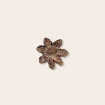 bronze poinsettia brooch