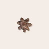 bronze poinsettia brooch